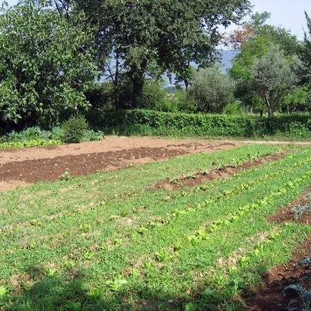 Farm stay Antica Quercia