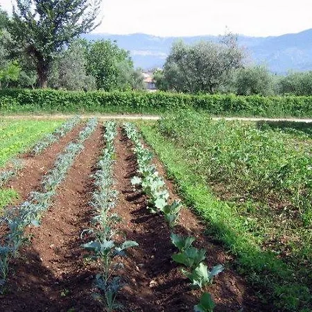 Farm stay Antica Quercia San Potito Sannitico