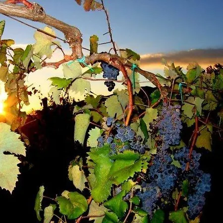 Farm stay Antica Quercia *